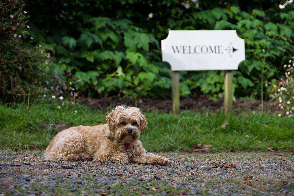 Ugbrooke Country Estate Hotell Lower Dashwood Eksteriør bilde